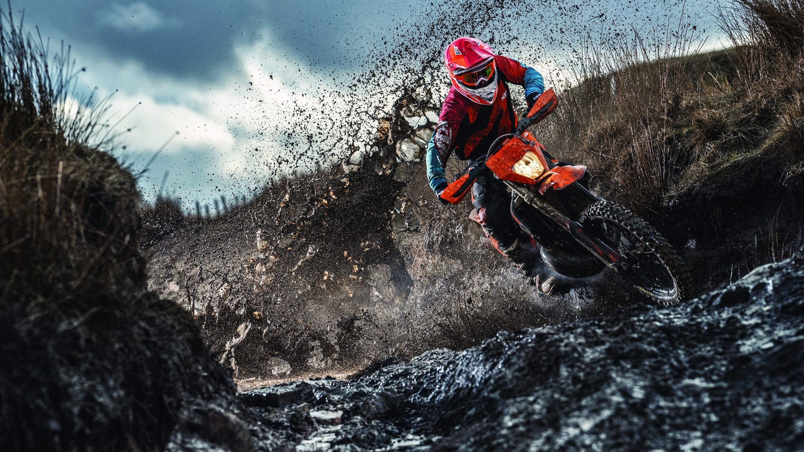 东京奥运：孙颖莎夺得多枚金牌，乒坛新星再创奇迹！，2020东京奥运会女乒孙颖莎对