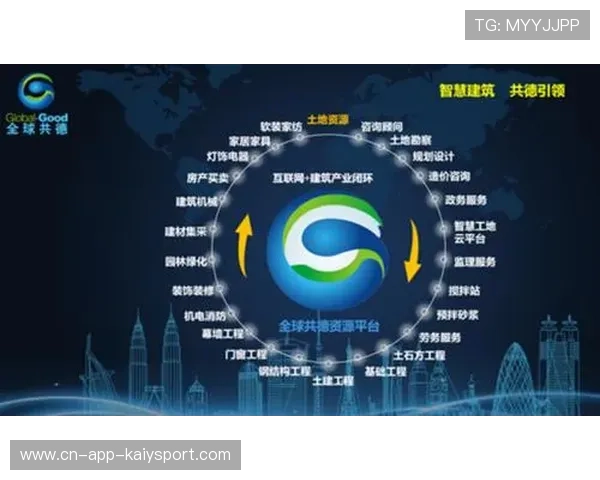 篮球运动在中国社会组织活动中的资源整合模式，简述篮球运动在中国的发展概况